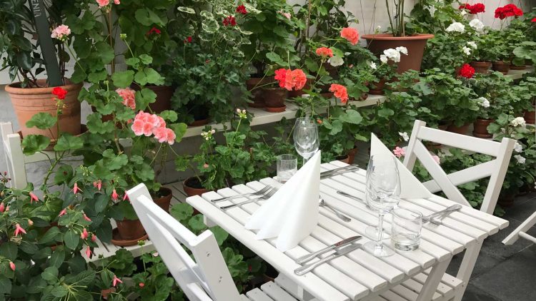 Middag i Hagecaféen i Drivhuset med konsert.